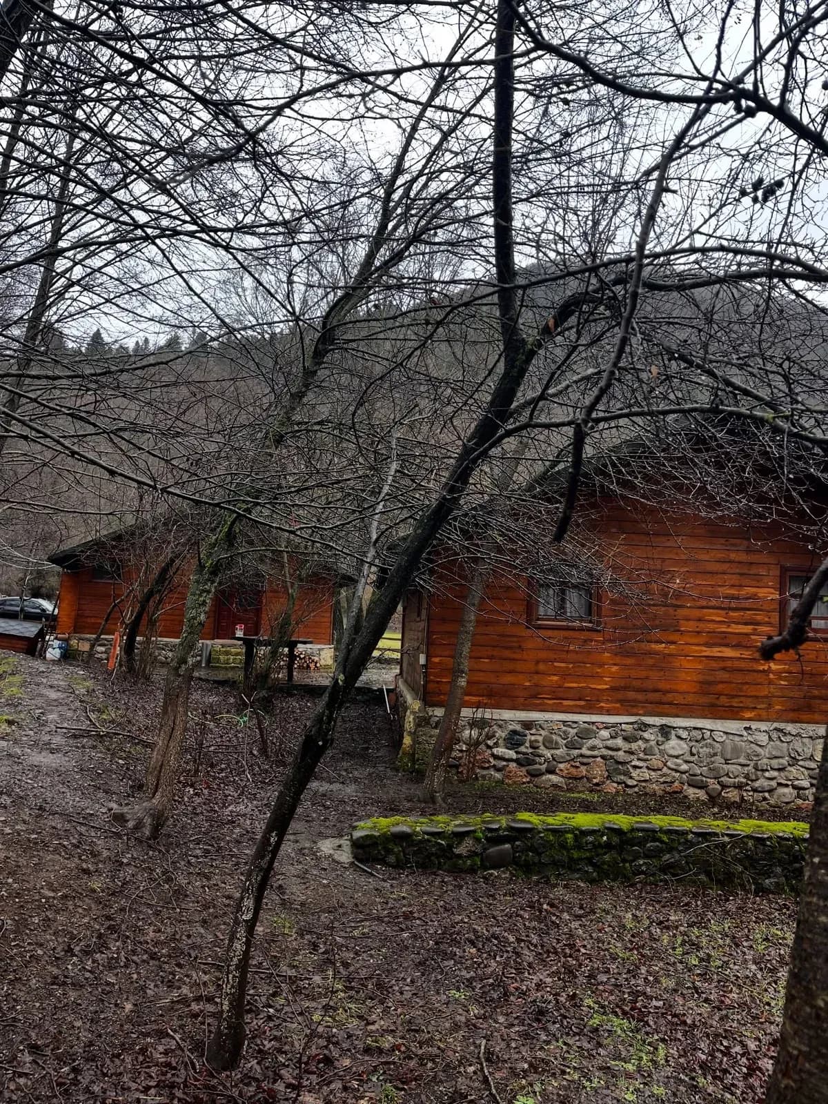 Pas gjithë atyre ditëve të lodhshme, këtu gjithçka flet ndryshe. — Të tjera, pamja 12