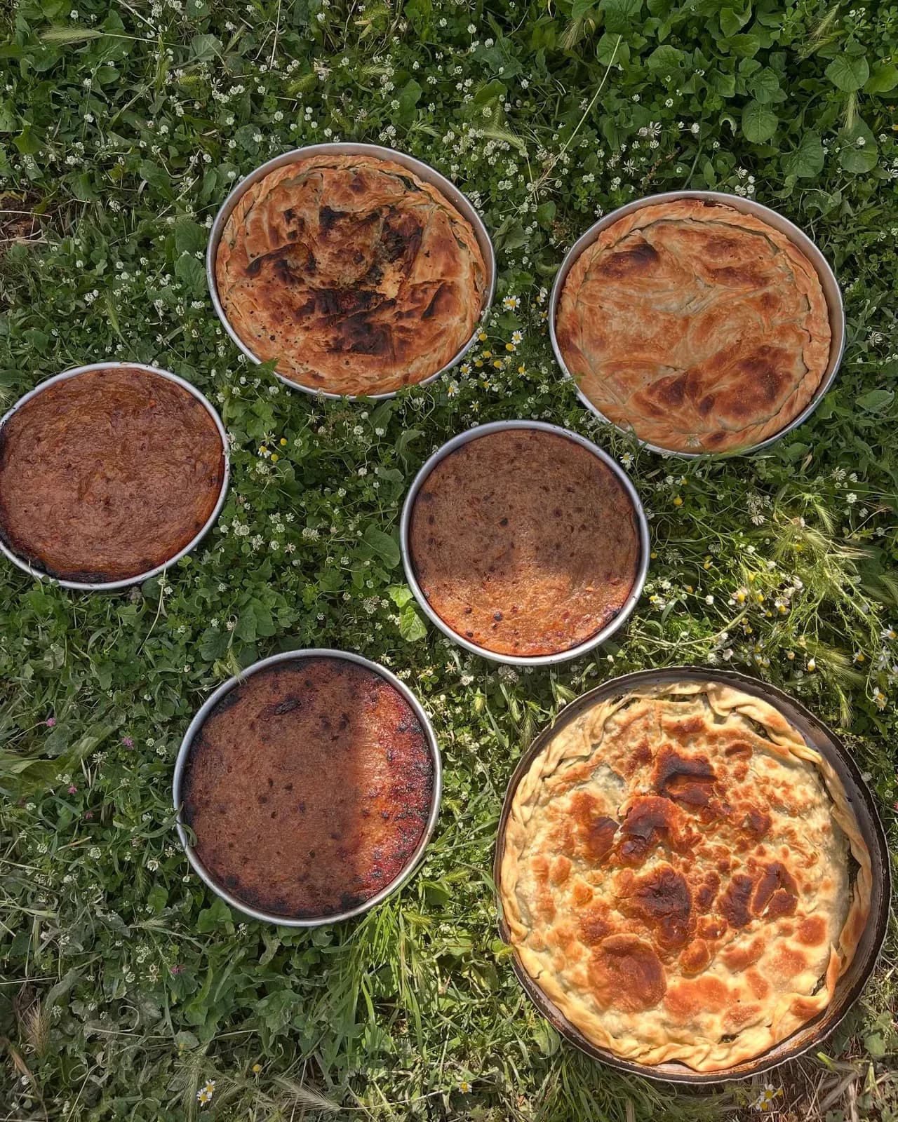 Photo Dump i javës që lam pas! — Porosi, pamja 19