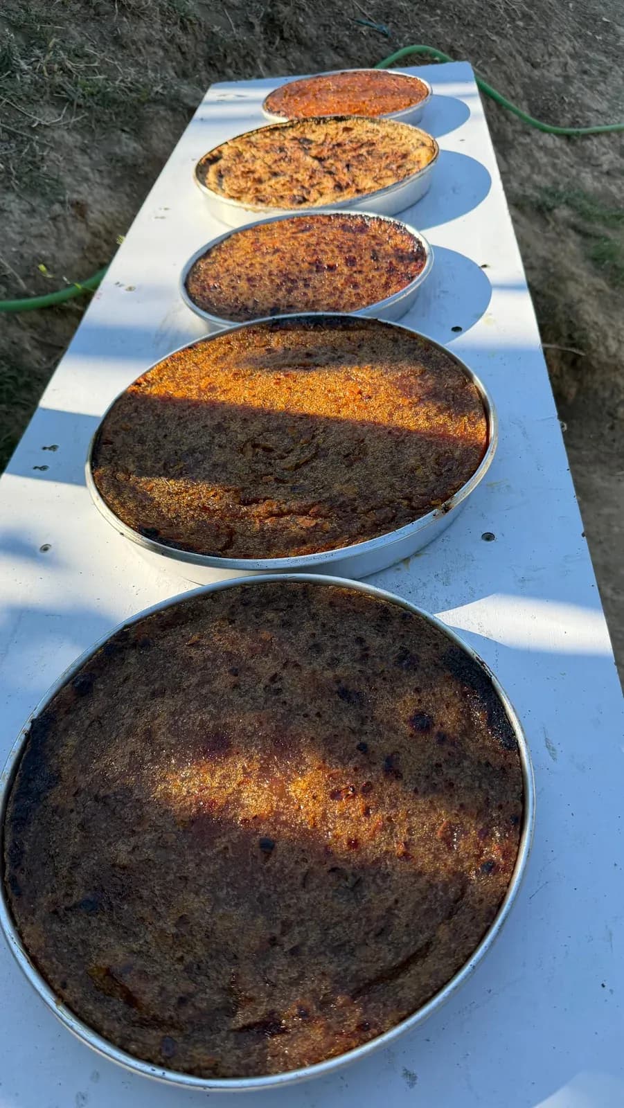 As vapa, as lodhja s’më ndal kur bëhet fjalë për ju. — Porosi