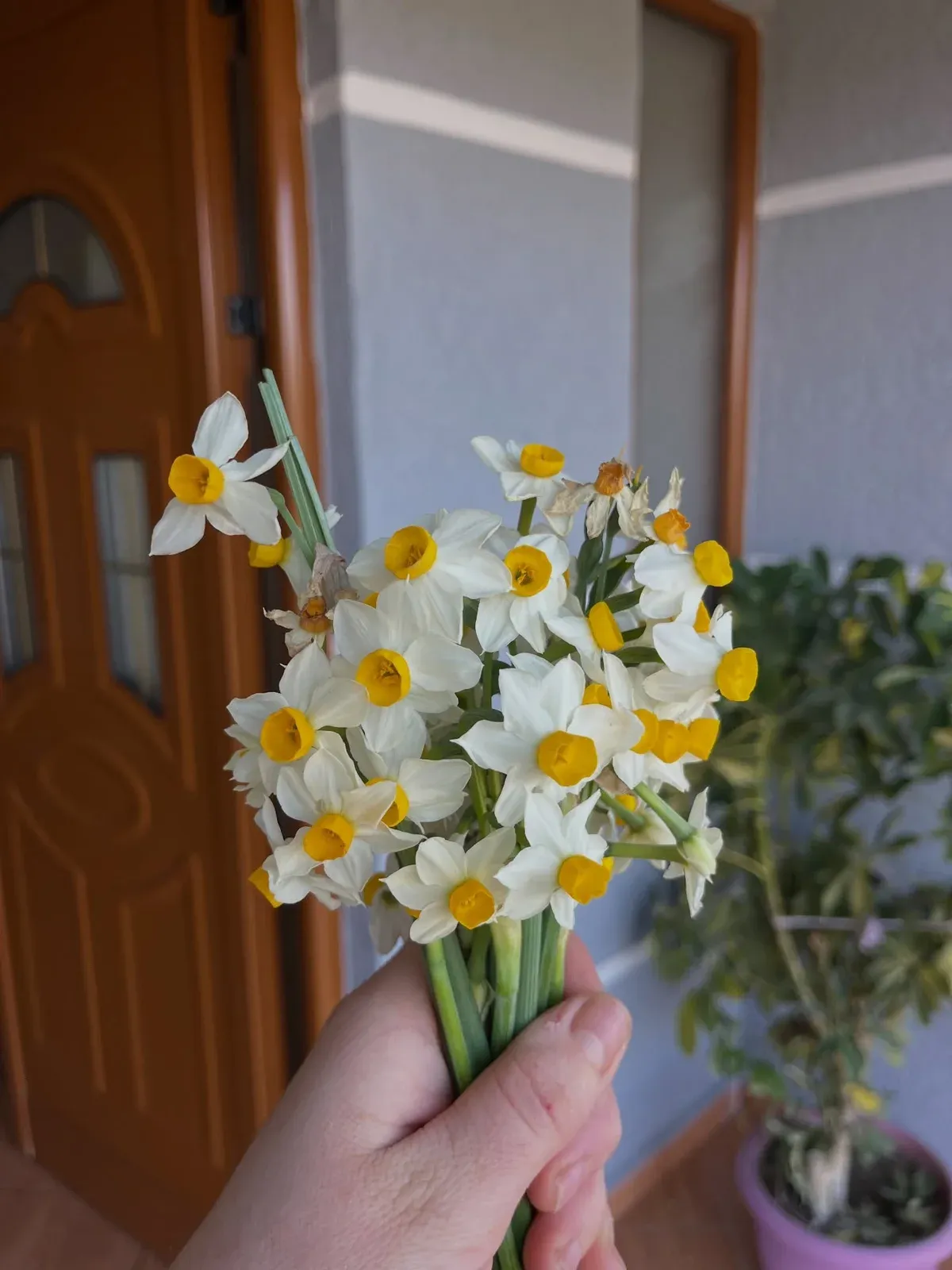 A mund të them se erdhi Pranveraaa? — Të tjera, pamja 16