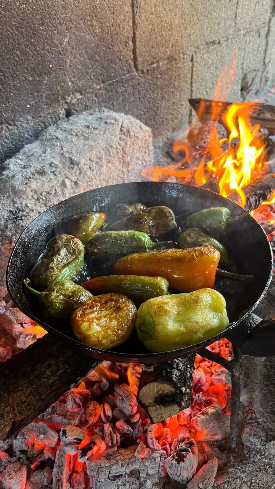 Shija e jetesss njerezzzzz Mos me thoni qe nuk jane te preferuarat tuajaaa… — Nga kopshti