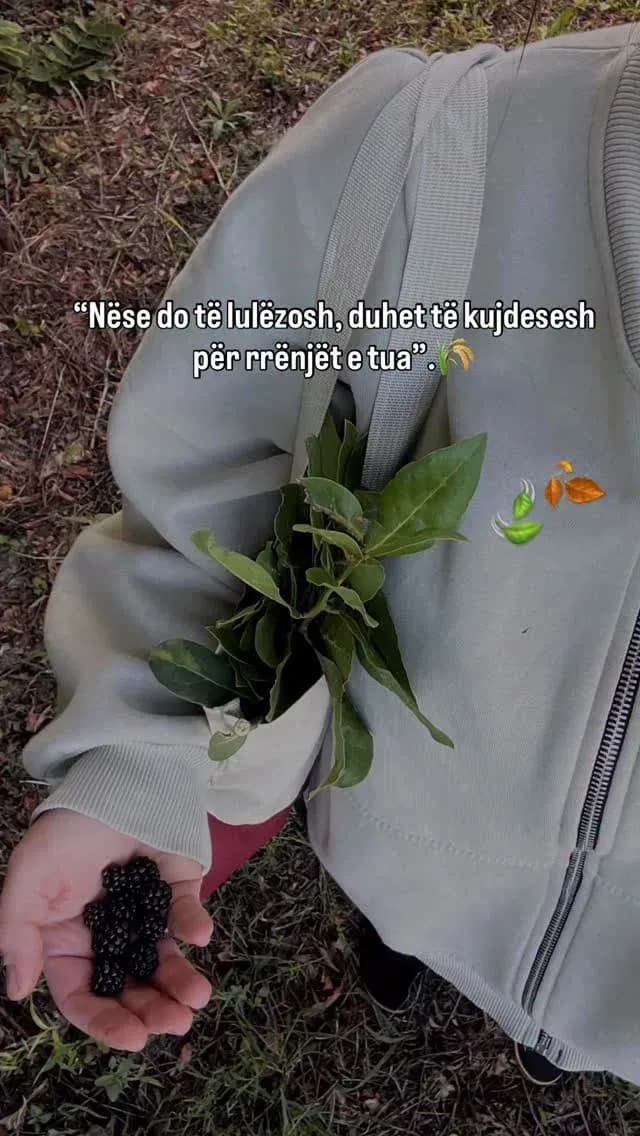 Çdo gjë e bukur rritet me kujdes… Si bima me rrënjët, ashtu edhe njeriu me… — Të tjera