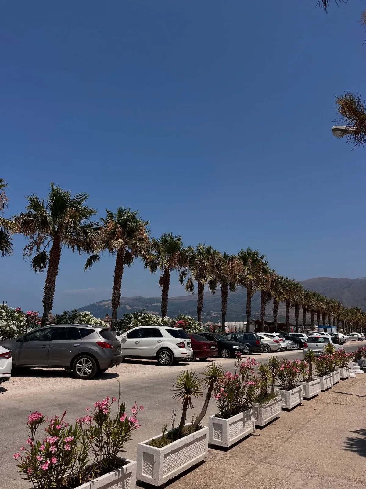 Mes detit, freskisë dhe ajrit të bregut… sot shijova një drekë që ma… — Të tjera, pamja 3
