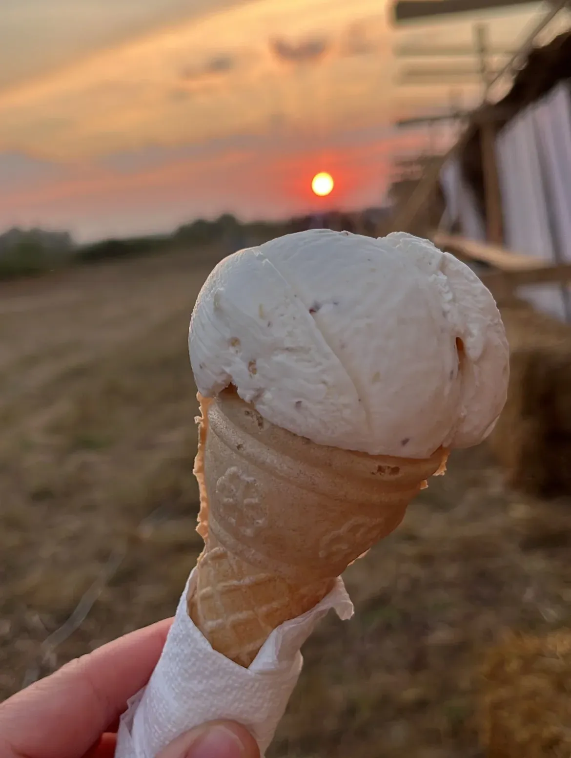 Photo dump festa e grurit dhe piknik me shoqet Një ditë e merituar pas… — Ëmbëlsira, pamja 6
