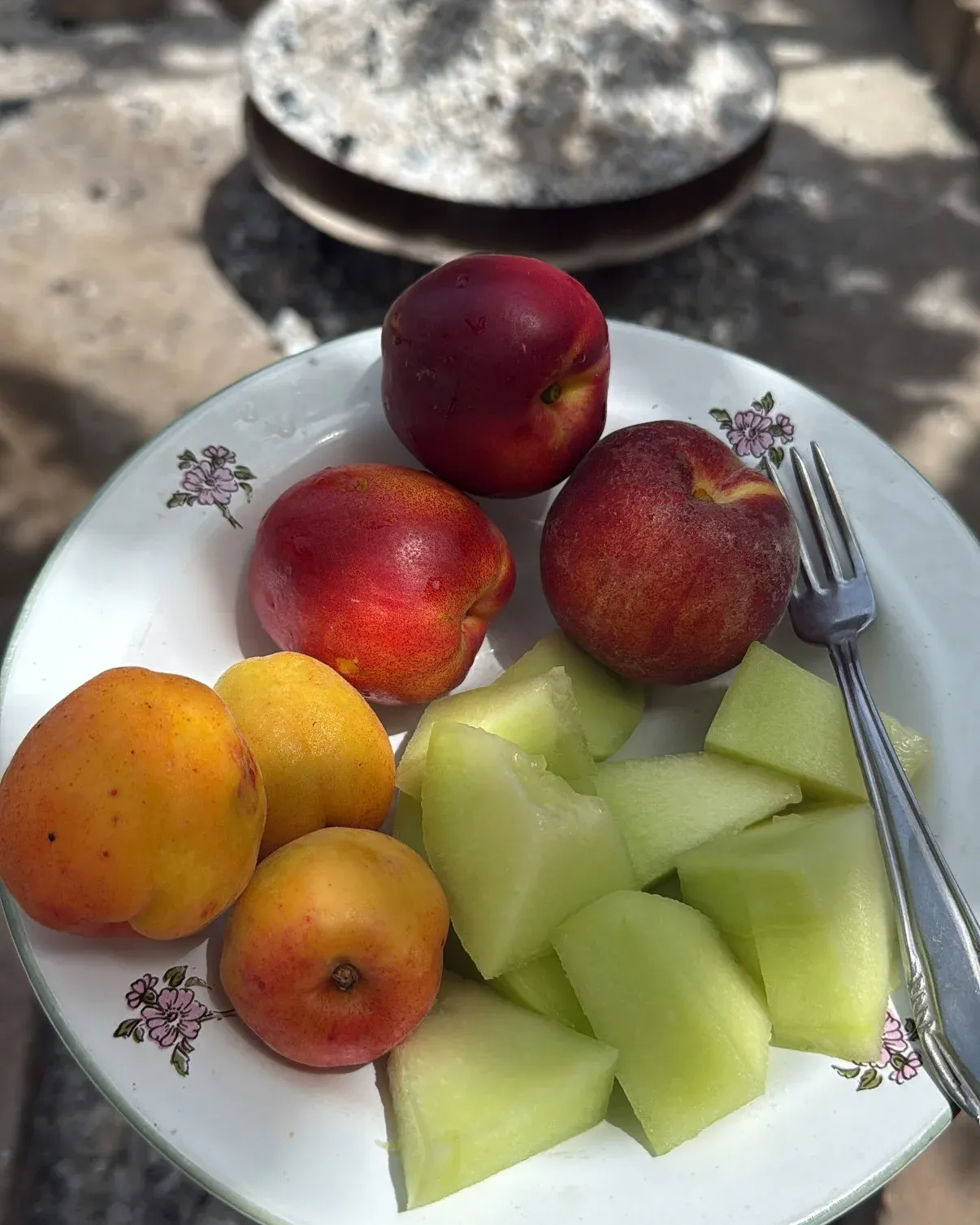 Photo Dump i cdo jave ! — Mish & tava, pamja 9