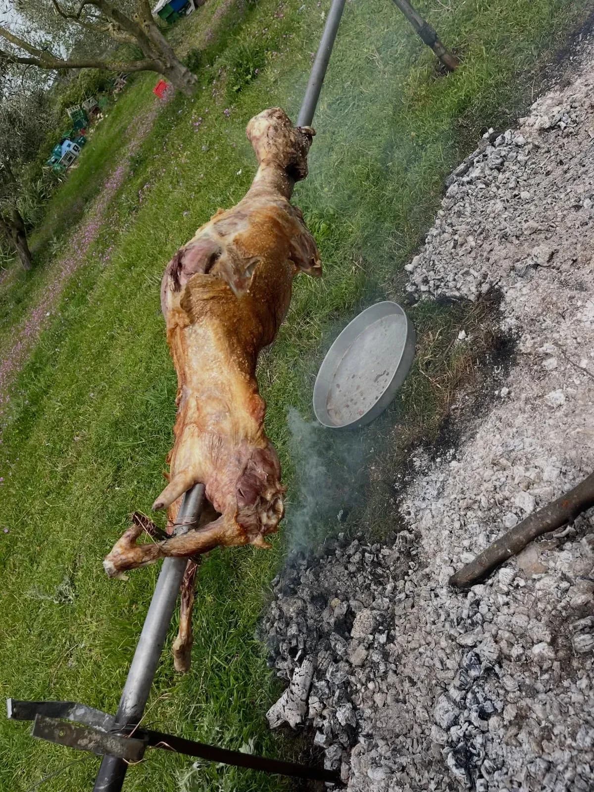 Një ditë Pashke mbushur me besim, dashuri dhe momente të thjeshta që… — Tradita, pamja 18