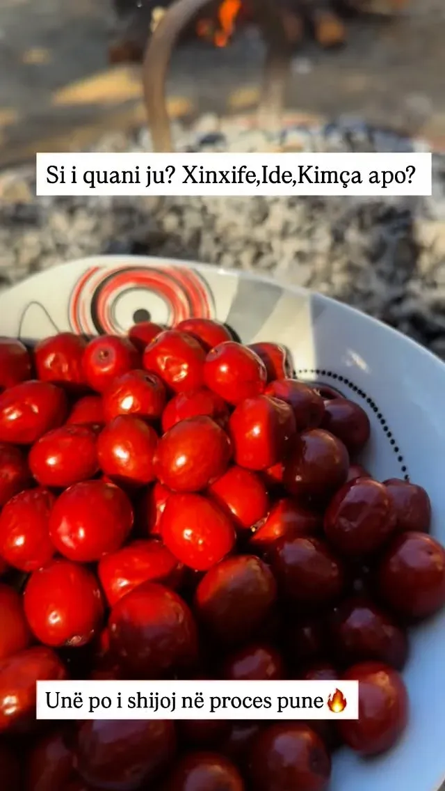 Mirëserdhe vjeshtë Fruti i parë i vjeshtës Si e quani ju? — Të tjera