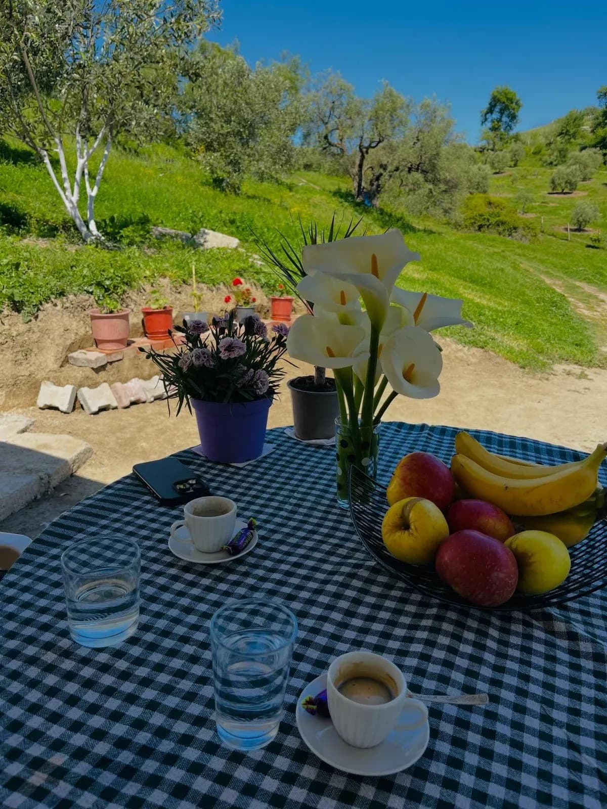 La bellezza della vita…si trova nelle cose semplici Kafe, lule dhe… — Të tjera