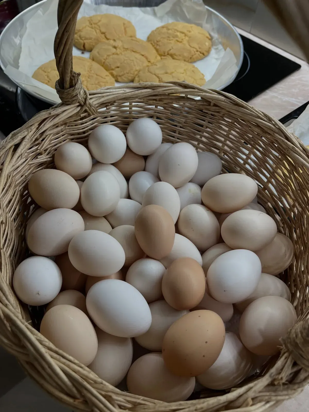 Ballakume me porosi për Ditën e Verës Prej ditësh kuzhina ime mban aromën… — Porosi, pamja 16