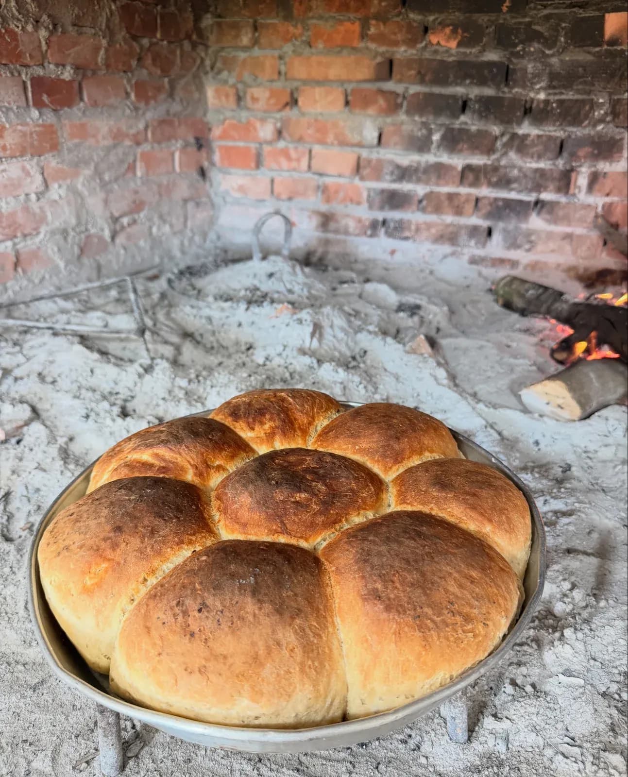 Qershori, mes zjarrit dhe shijeve | Pjesa 1 Qershori erdhi me temperatura… — Procesi, pamja 20