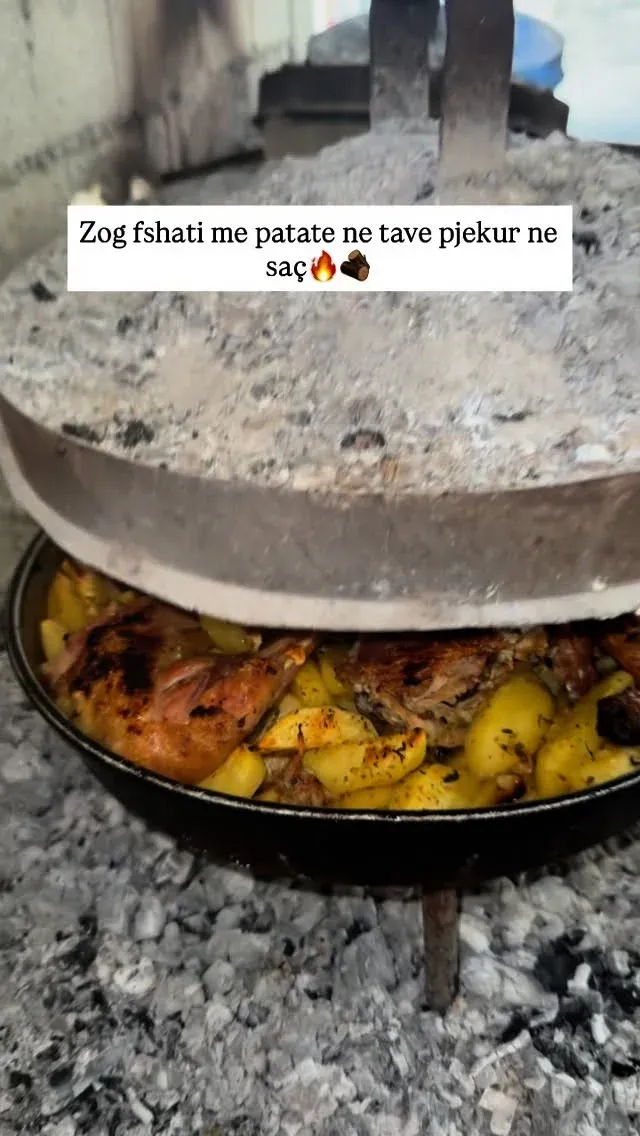 Zog fshati me patate, i vendosur në tavë dhe i pjekur ngadalë në saç, aty… — Mish & tava