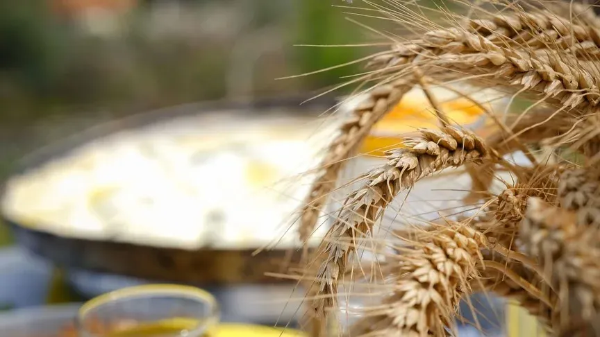 Nën hirin që mban aromën e fëmijërisë, çdo ditë ndizet një zjarr i vogël,… — Porosi, pamja 11