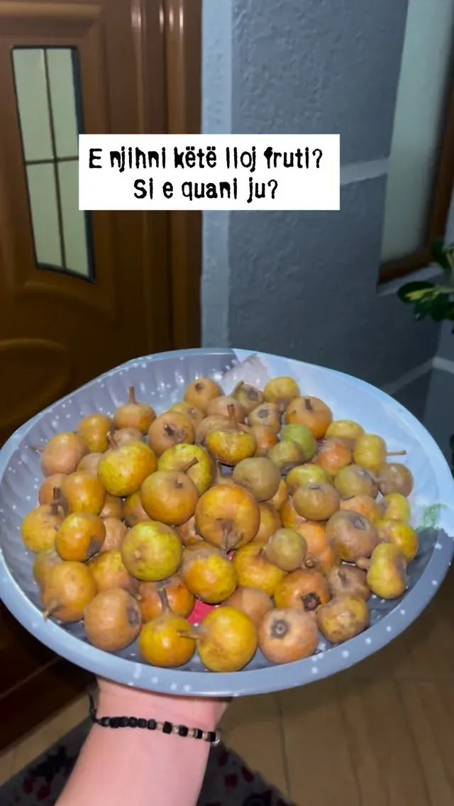 Pas pune direkt erdhaa te babi dheee ai më kishte mbledhur Gorricaaa. — Procesi