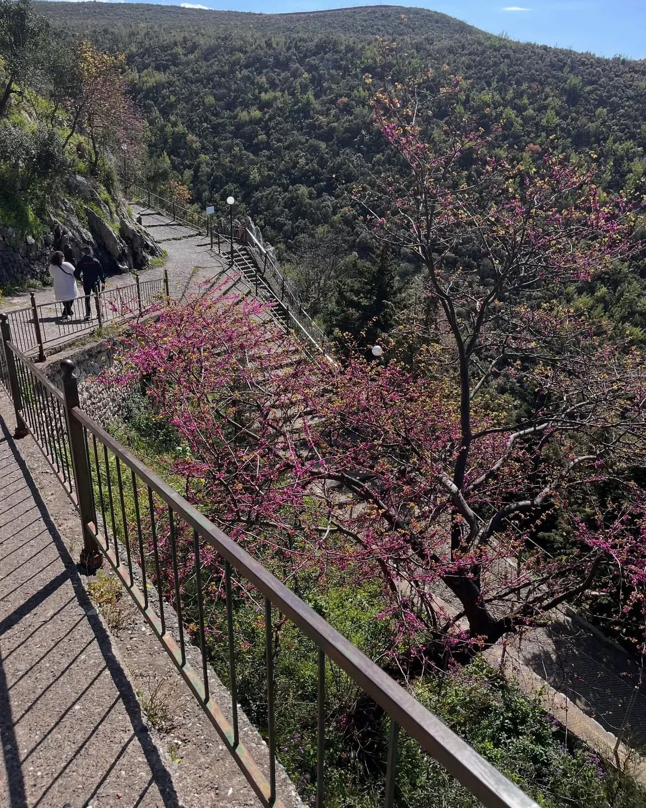 O Zot, Ty të drejtoj çdo lutje timen, çdo shpresë dhe çdo shqetësim të… — Të tjera, pamja 7