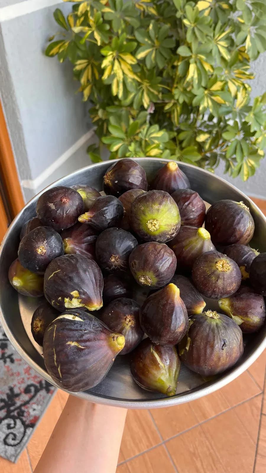 U poqën fiqtë e lashtë…nga duart e babës! — Tradita