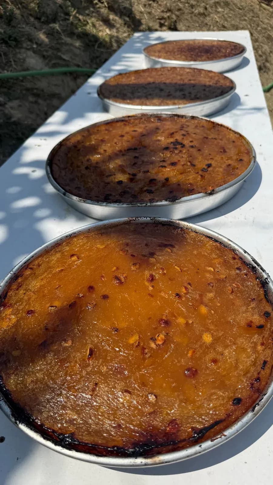 Revania e “vajzës së saçit” ,e famshmja që ju keni dashuruar Me recetë të… — Porosi
