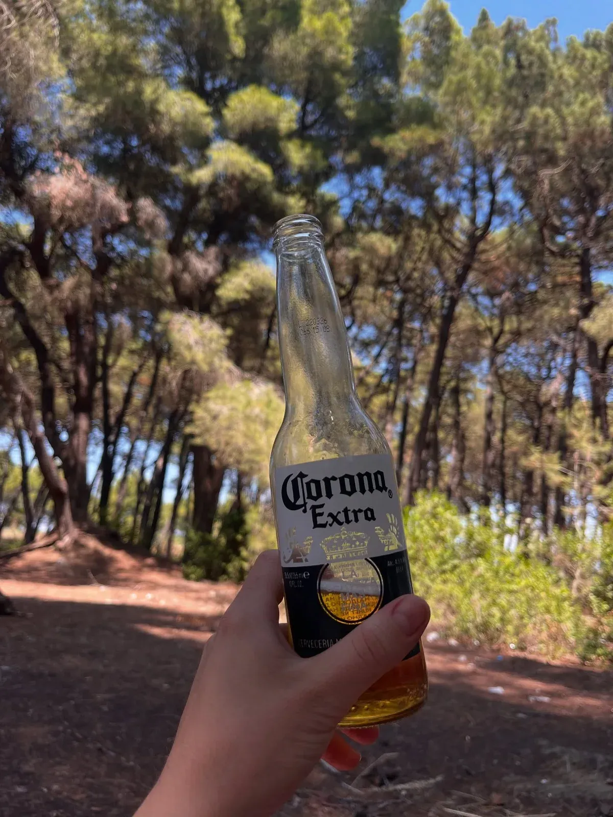 Photo dump festa e grurit dhe piknik me shoqet Një ditë e merituar pas… — Ëmbëlsira, pamja 3