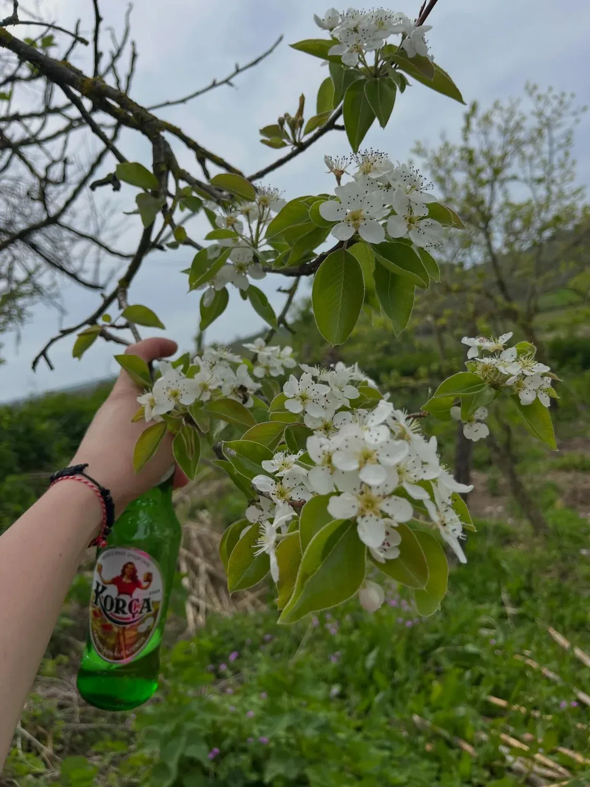 Një ditë Pashke mbushur me besim, dashuri dhe momente të thjeshta që… — Tradita, pamja 17