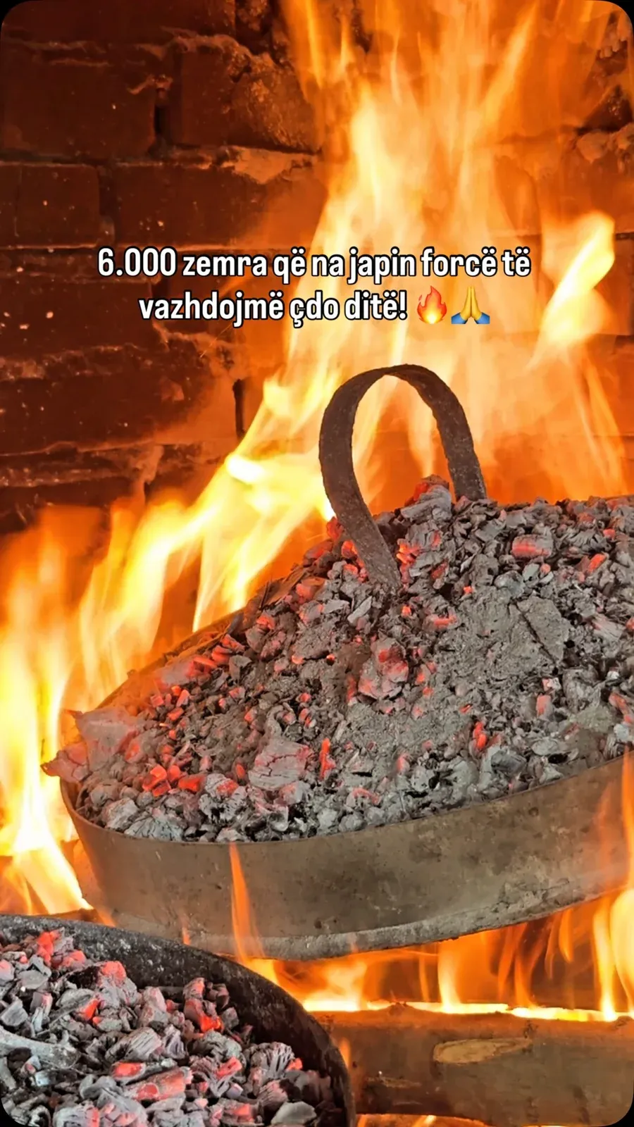 6.000 zemra që besojnë tek Aroma e Saçit. — Procesi