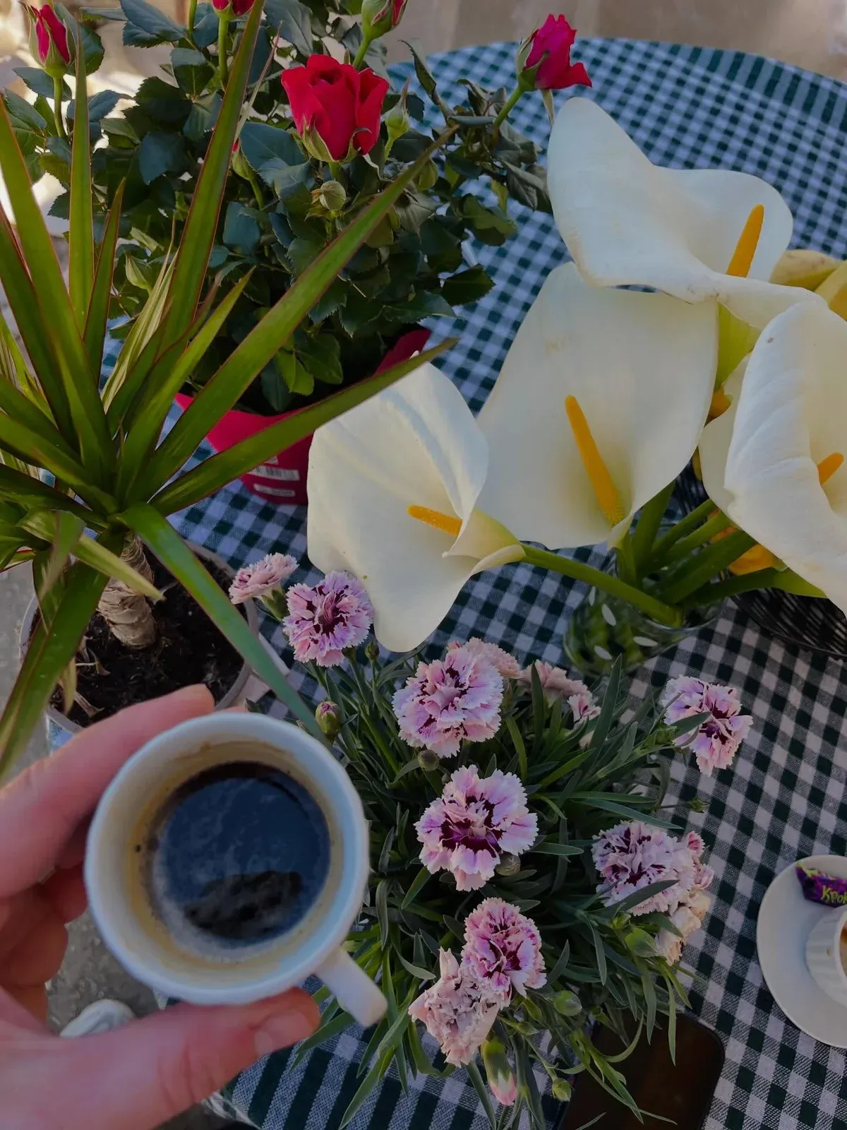 La bellezza della vita…si trova nelle cose semplici Kafe, lule dhe… — Të tjera, pamja 2