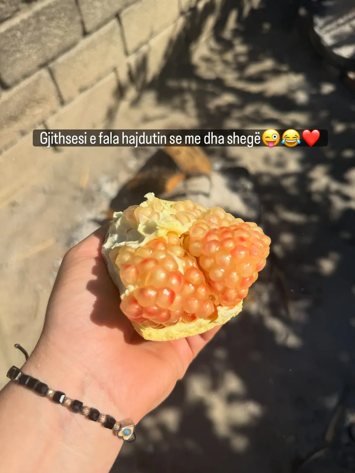 Shporta e vjeshtës nga kopështi ynë. — Nga kopshti, pamja 10