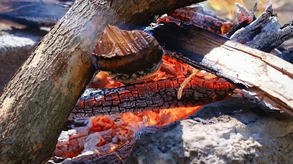 Nën hirin që mban aromën e fëmijërisë, çdo ditë ndizet një zjarr i vogël,… — Porosi, pamja 8