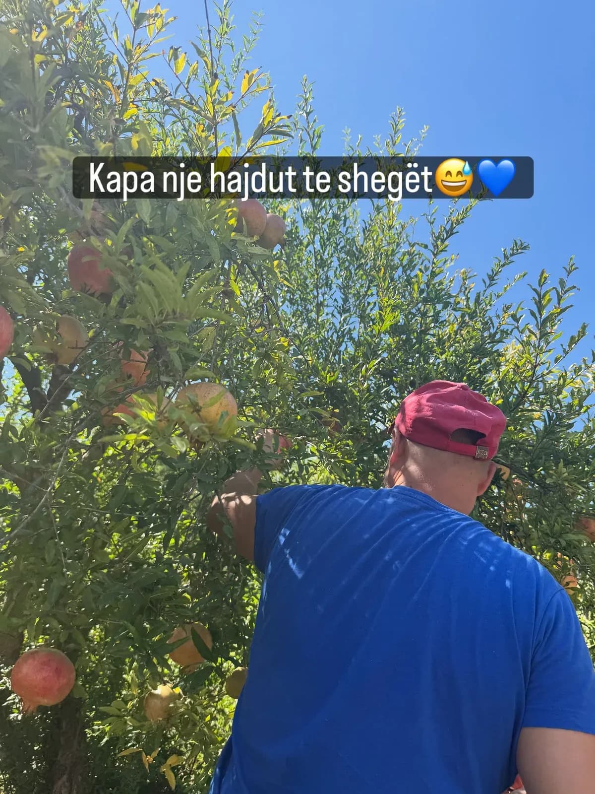 Shporta e vjeshtës nga kopështi ynë. — Nga kopshti, pamja 9