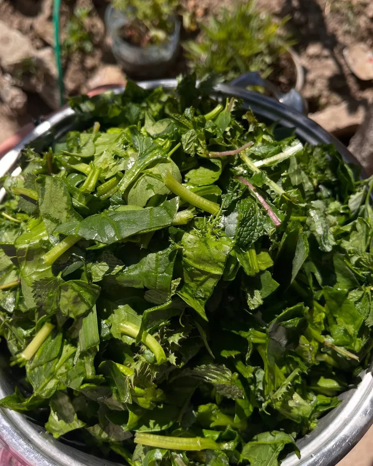 Pas një dite të lodhshme, kur këmbët s’të mbajnë më, mjafton aroma nga… — Byrek & flia, pamja 9