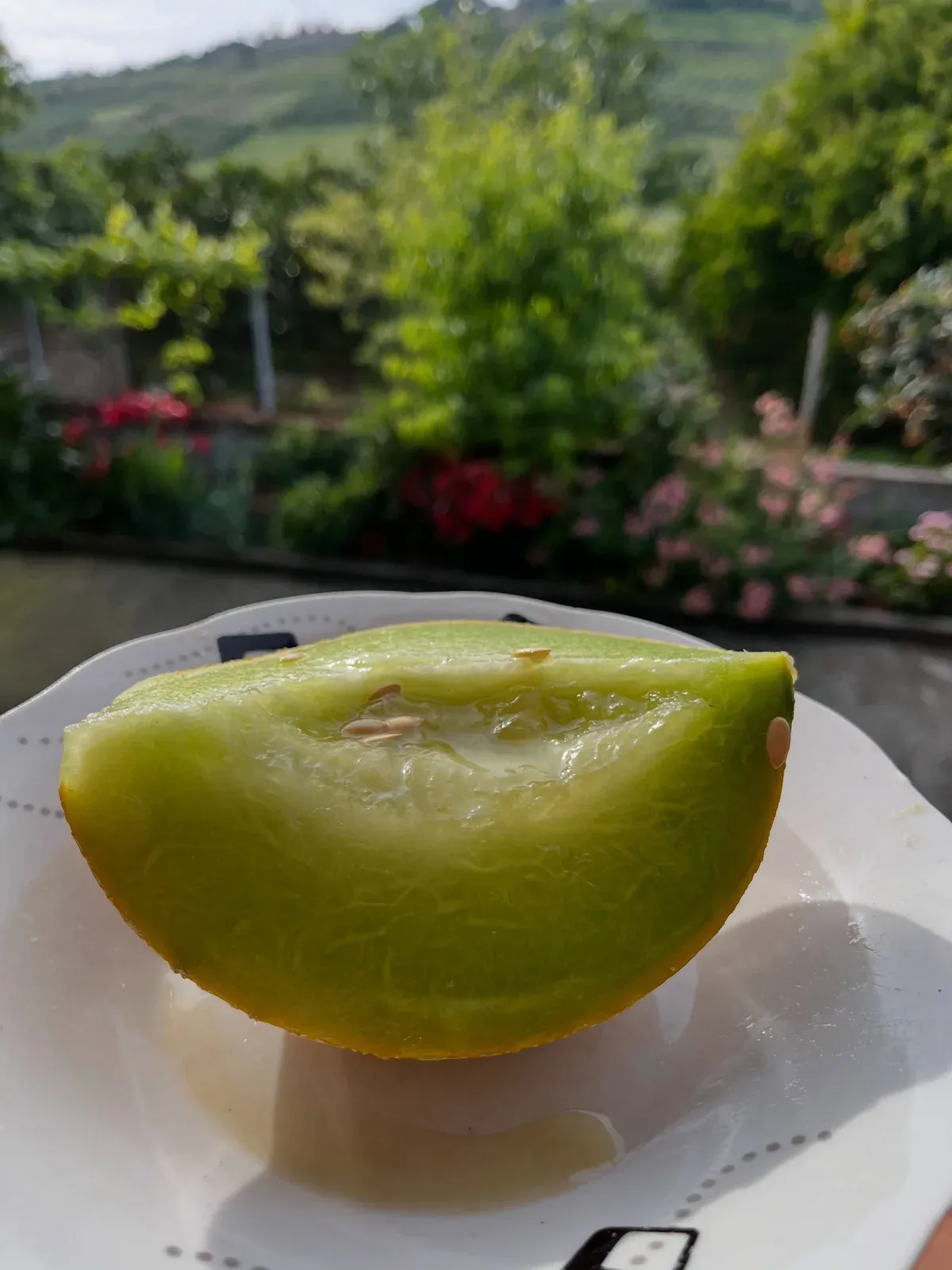 Ka disa duar që nuk të mësojnë vetëm të gatuash… të mësojnë si të jetosh. — Mish & tava, pamja 10