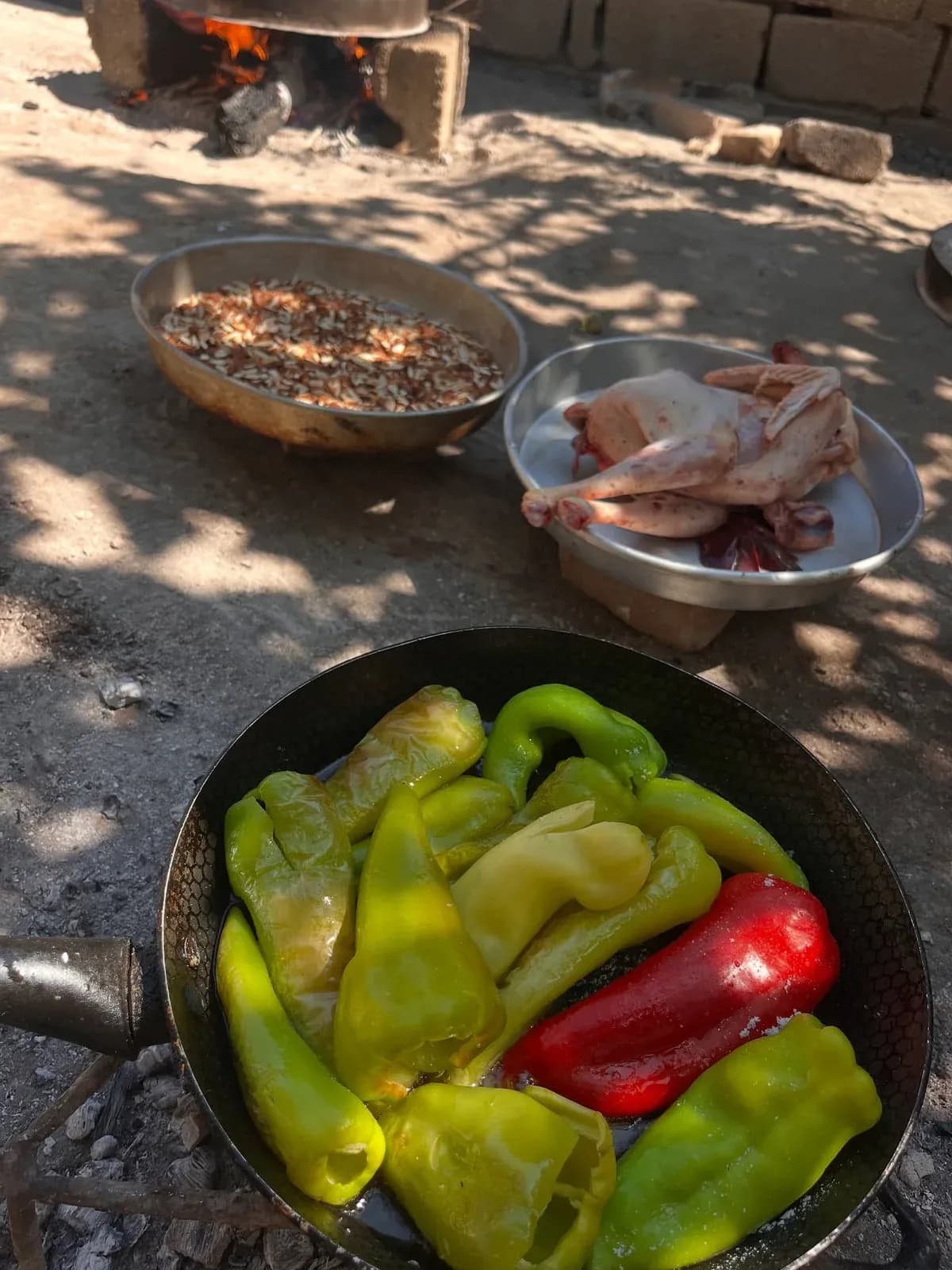 Korriku mbyllet këtu… mes valëve të detit(do postoj kur te kthehem në… — Gatime në saç, pamja 7