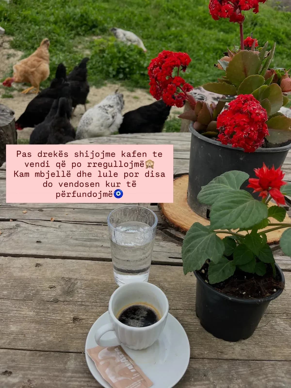 Dreka në fshat Kulac me shëllirë djathi, kos e vezë,tavë me zog e oriz në… — Mish & tava, pamja 2